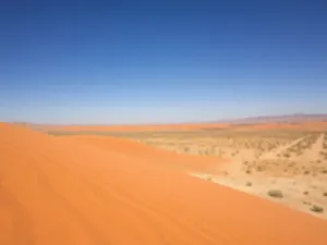 Najstarsza pustynia na Ziemi: odkryj tajemnice pustyni Namib